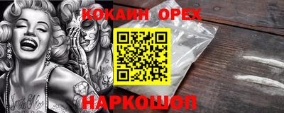 тгк Бердск