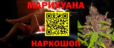 тгк Бердск