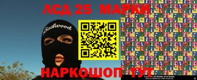 тгк Бердск