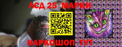 стафф Белореченск