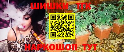 тгк Бердск