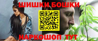 тгк Бердск