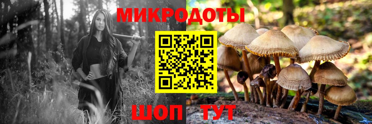 даркнет сайт  Вход с VPN  Вольск  Псилоцибиновые грибы мицелий 